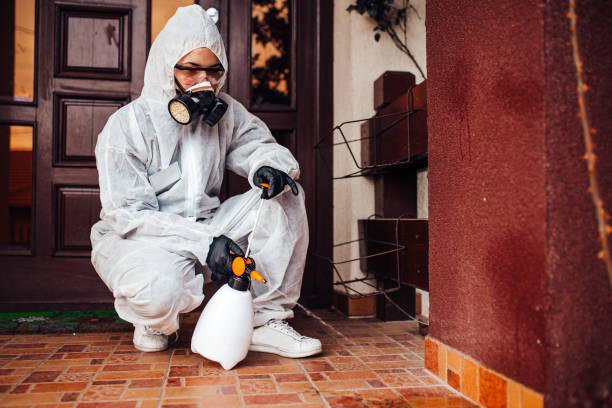 Reliable Bed Bug Control contractor in Valley Falls, KS by Nex Pest Control