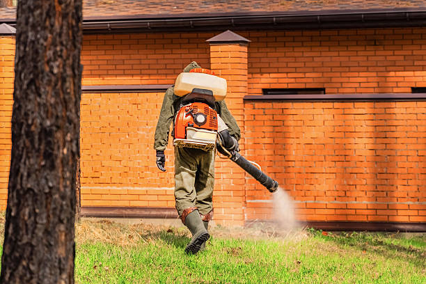 Trusted Bed Bug Control service in Valley Falls, KS - Nex Pest Control